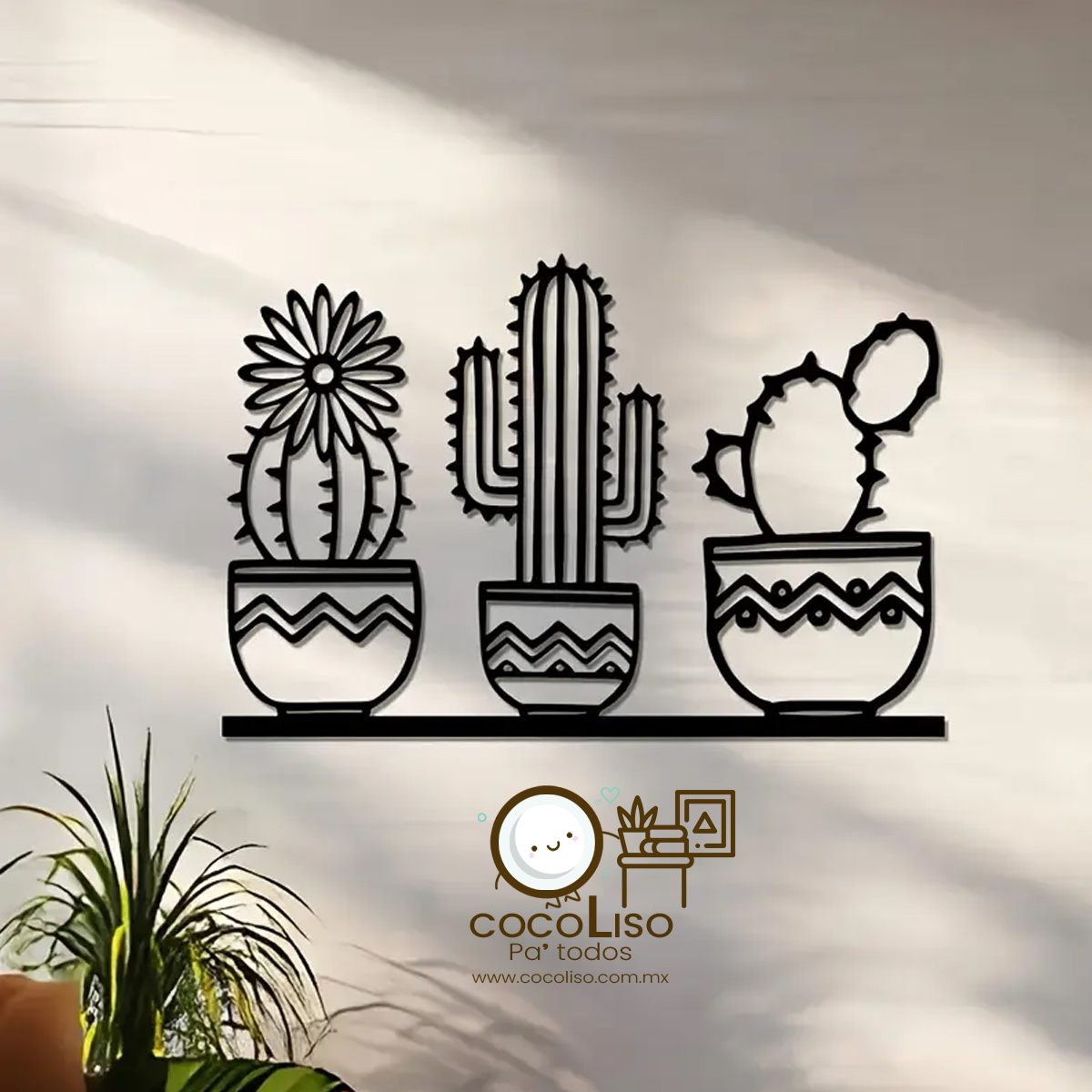 Repisa de 3 cactus en bandeja - Image 3